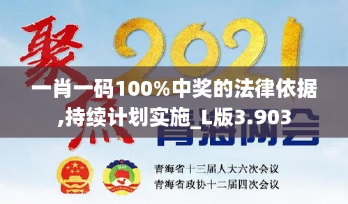 一肖一码100%中奖的法律依据,持续计划实施_L版3.903