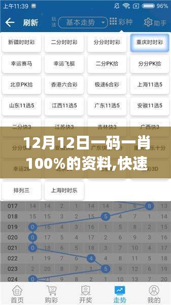 12月12日一码一肖100%的资料,快速落实响应方案_QHD版5.272