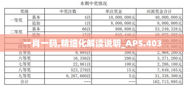 一肖一码,精细化解读说明_AP5.403