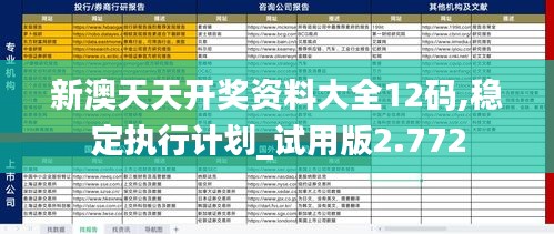 新澳天天开奖资料大全12码,稳定执行计划_试用版2.772