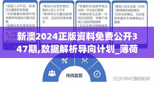 新澳2024正版资料免费公开347期,数据解析导向计划_薄荷版5.689