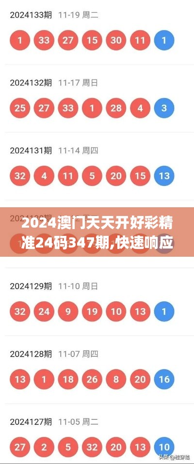 2024澳门天天开好彩精准24码347期,快速响应策略方案_苹果款4.645