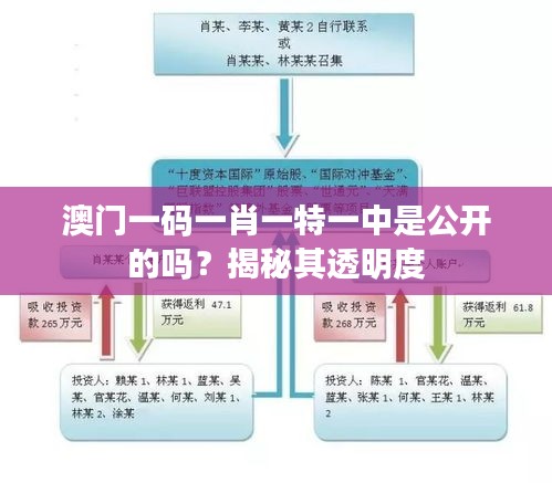 澳门一码一肖一特一中是公开的吗？揭秘其透明度