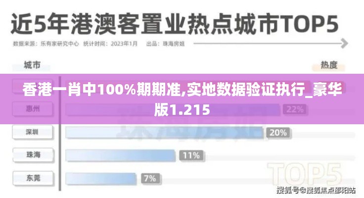 香港一肖中100%期期准,实地数据验证执行_豪华版1.215