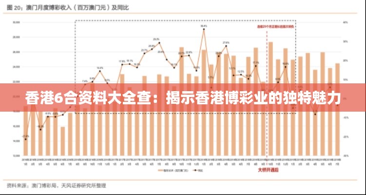 香港6合资料大全查：揭示香港博彩业的独特魅力