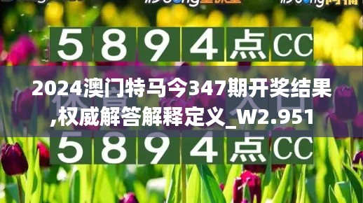 2024澳门特马今347期开奖结果,权威解答解释定义_W2.951