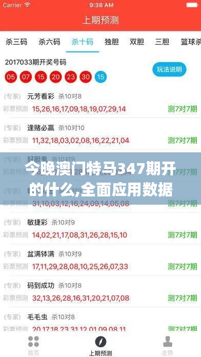 今晚澳门特马347期开的什么,全面应用数据分析_网红版5.182