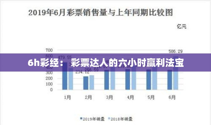 6h彩经： 彩票达人的六小时赢利法宝