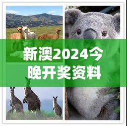 新澳2024今晚开奖资料四不像：为何今晚的开奖如此备受关注？