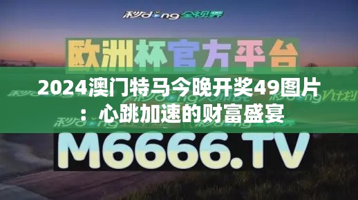 2024澳门特马今晚开奖49图片：心跳加速的财富盛宴