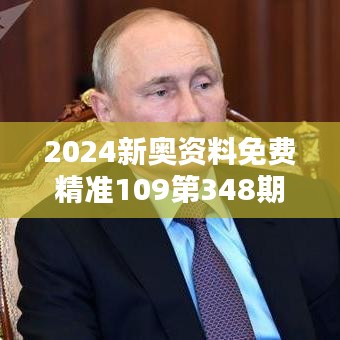 2024新奥资料免费精准109第348期：数据驱动下的创新营销策略