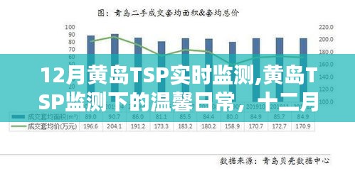 黄岛TSP实时监测，温馨日常的守护与陪伴