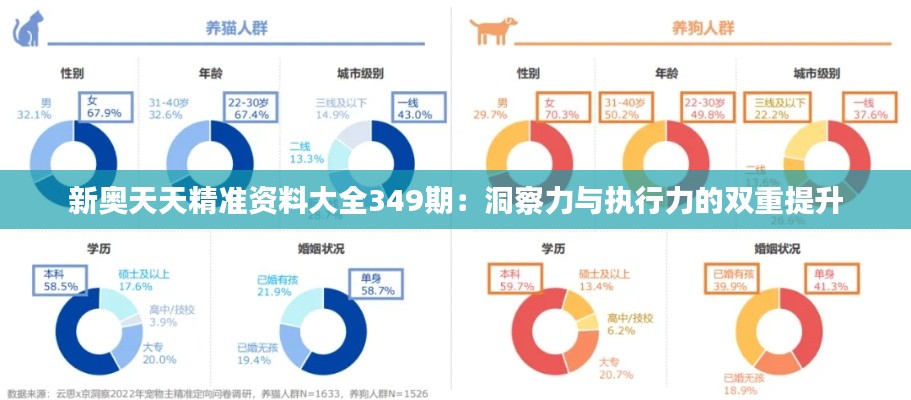 新奥天天精准资料大全349期：洞察力与执行力的双重提升