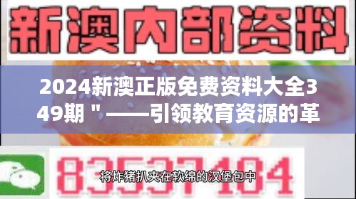 2024新澳正版免费资料大全349期＂——引领教育资源的革新浪潮