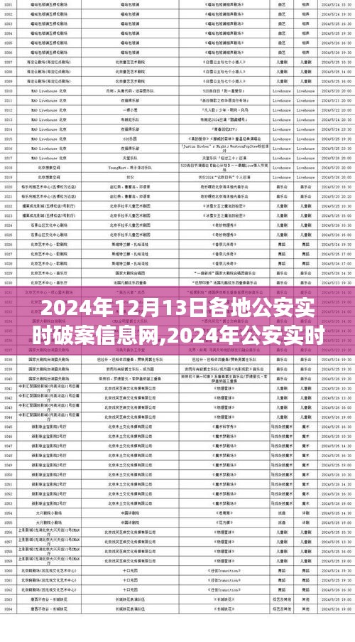 2024年公安实时破案信息网使用指南，高效利用资源，助力破案工作