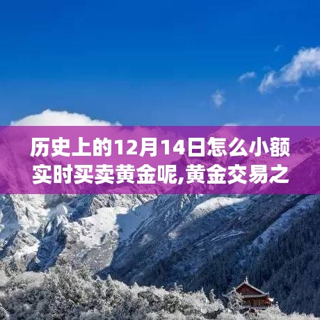 黄金交易之旅，12月14日小额实时买卖黄金与探索自然美景中的内心平静