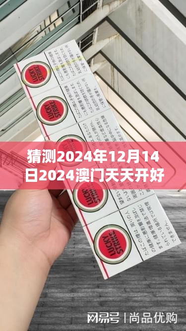 猜测2024年12月14日2024澳门天天开好彩大全开奖结果：科学的猜测与直觉的碰撞