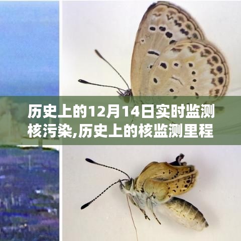 揭秘历史上的核监测里程碑，十二月十四日核污染实时监测的进展与变迁