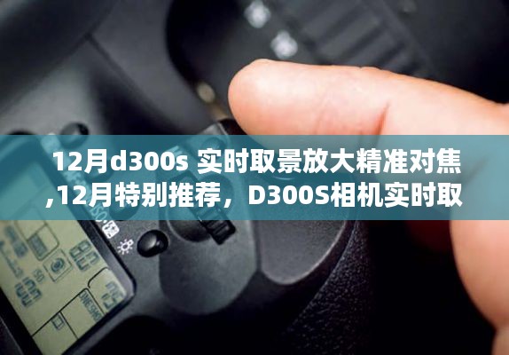 D300S相机12月实时取景放大与精准对焦指南，特别推荐，掌握技巧轻松拍摄！