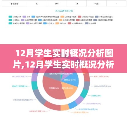 多维度视角下的观察与思考，12月学生实时概况分析图片