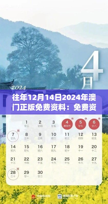 往年12月14日2024年澳门正版免费资料：免费资料里的澳门故事