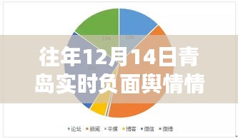 往年12月14日青岛实时负面舆情深度解析与查询