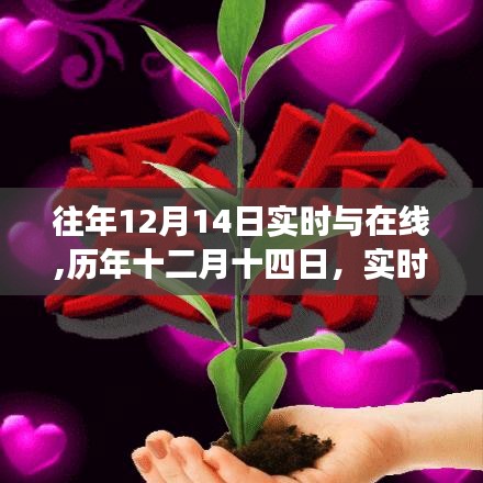 历年十二月十四日，实时与在线交汇时刻回顾