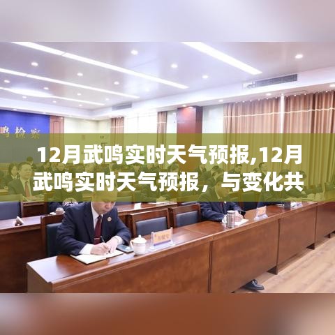 武鸣天气预报，与变化共舞，学习成就自信之光——十二月实时气象报告