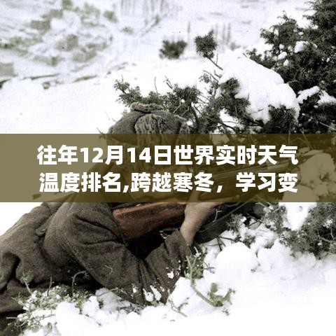 全球实时天气温度排名，跨越寒冬，感受世界实时天气的力量与变化学习