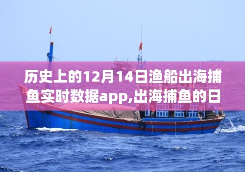 12月14日，海上奇遇与数字捕鱼app的实时陪伴