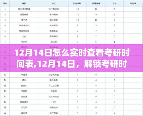 揭秘考研时间表，如何在12月14日实时查看，自信备考，成就飞跃之旅