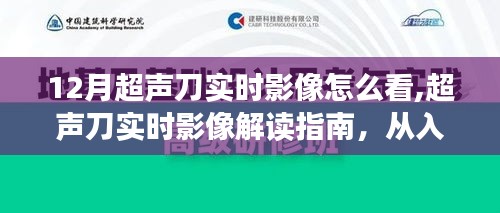 超声刀实时影像解读指南，从入门到精通（附12月版最新解读技巧）