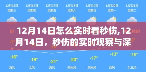 12月14日秒伤实时观察详解与深度解读