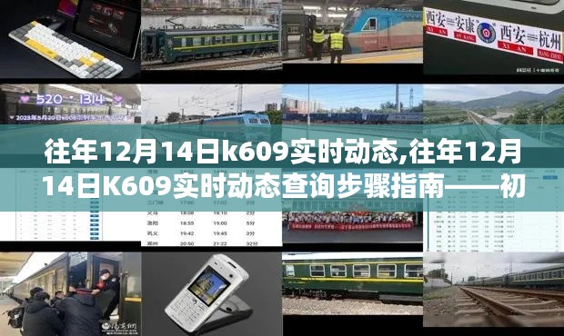 往年12月14日K609实时动态详解及查询步骤指南——全方位教程助力初学者进阶用户掌握技巧！