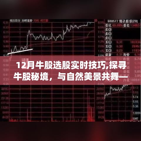 探寻牛股秘境，心灵启示下的十二月选股之旅实时技巧