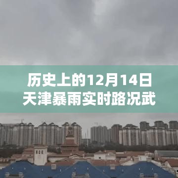 天津武清地区十二月十四日暴雨实时路况回顾