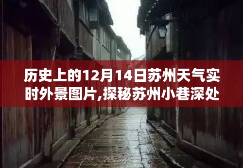 苏州历史天气下的独特小巷风情，一家特色小店的奇妙逅遇纪实