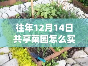 往年12月14日共享菜园实时观看指南，开启绿色生活新篇章！