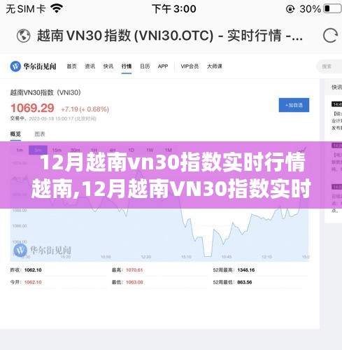12月越南VN30指数实时行情分析与操作指南