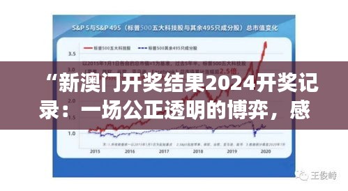 “新澳门开奖结果2024开奖记录：一场公正透明的博弈，感受概率的神秘力量”