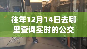 往年12月14日实时公交车查询方法与信息获取途径详解