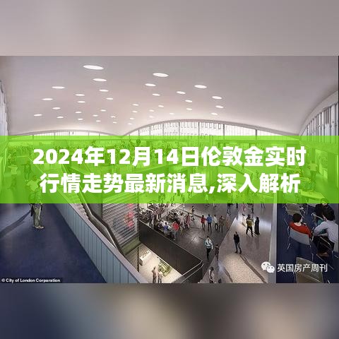 深度解析，2024年12月14日伦敦金实时行情走势最新消息