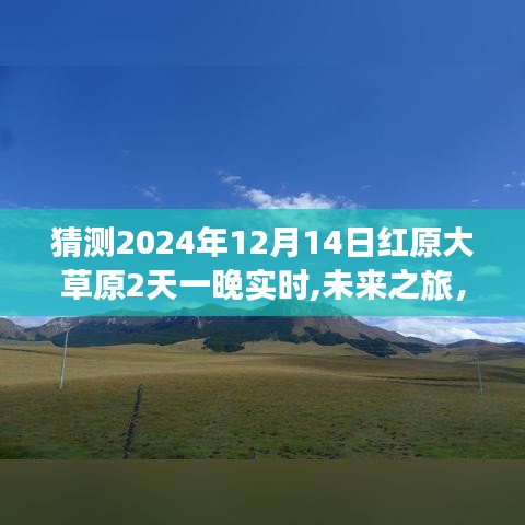 未来之旅揭秘红原大草原，智能生活新纪元的探秘之旅（2024年实时体验）