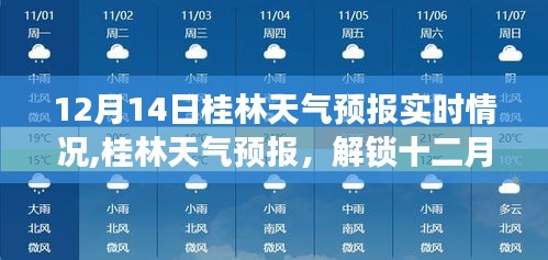 桂林天气预报实时更新，十二月十四日天气动态及出行指南