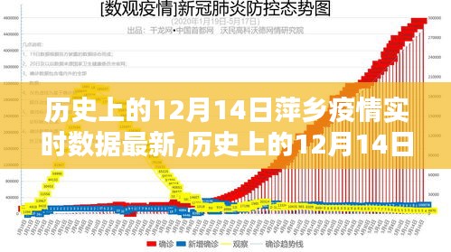 历史上的12月14日萍乡疫情实时数据手册，初学者与进阶用户指南