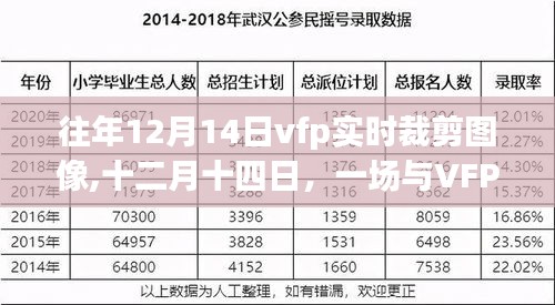 十二月十四日VFP图像裁剪之旅，实时裁剪温馨图像体验