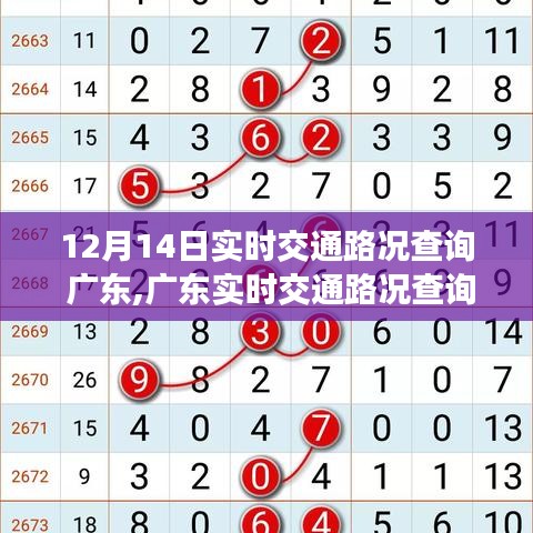 广东实时交通路况查询指南，初学者与进阶用户适用（12月14日实时更新）