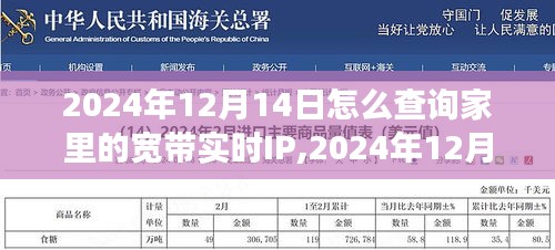 揭秘家中宽带实时IP查询之旅，操作指南与步骤（2024年12月14日版）