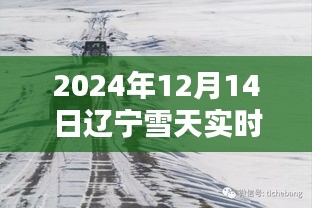 辽宁雪天路况实时更新，智能导航助力未来出行体验（2024年12月14日）