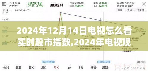 2024年电视观股新体验，实时股市指数的多元视角观看